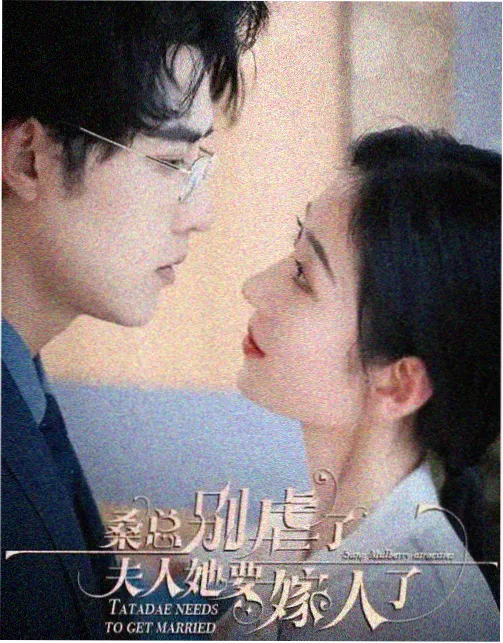 繁花 王家卫剧版